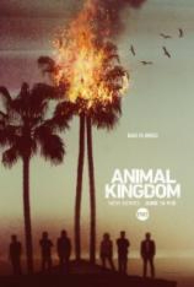 ממלכת החיות תרגום מובנה לצפייה ישירה / Animal Kingdom לצפייה ישירה
