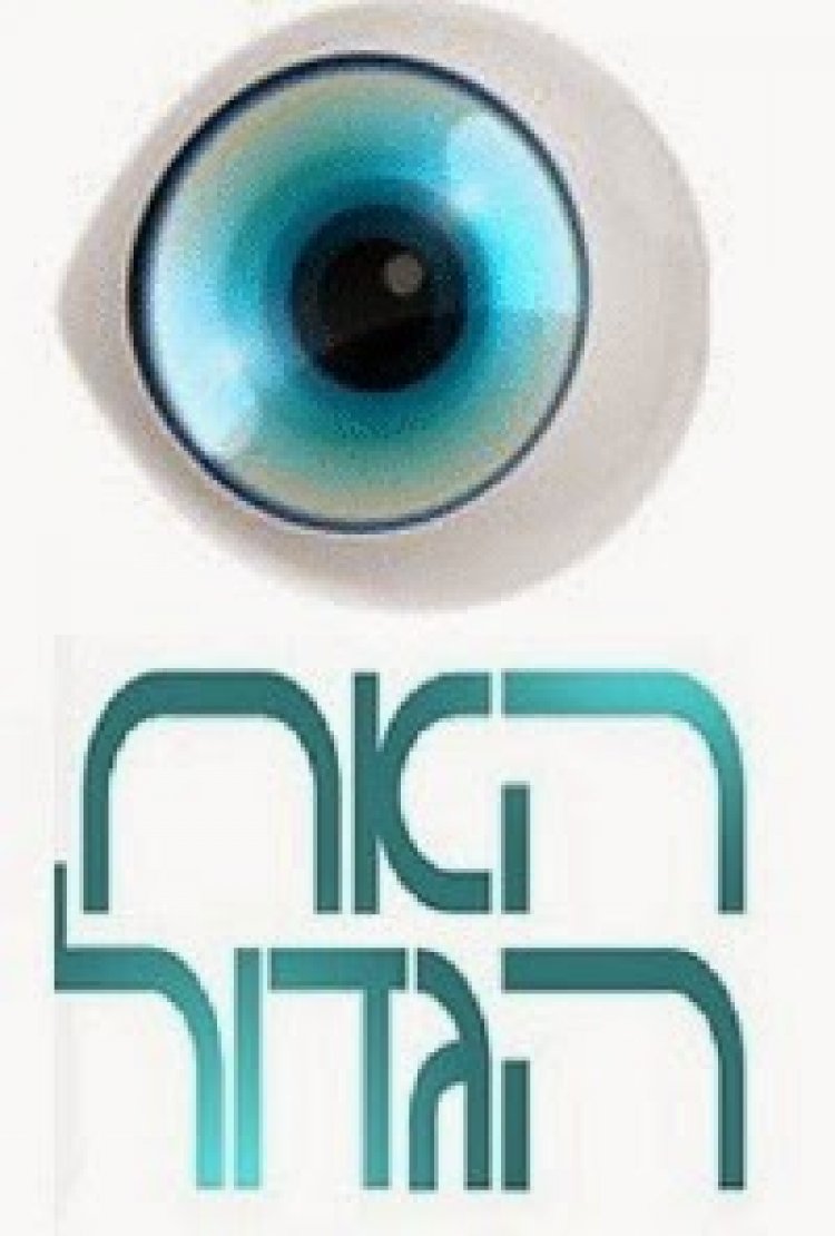 האח הגדול עונה 6 פרק 13