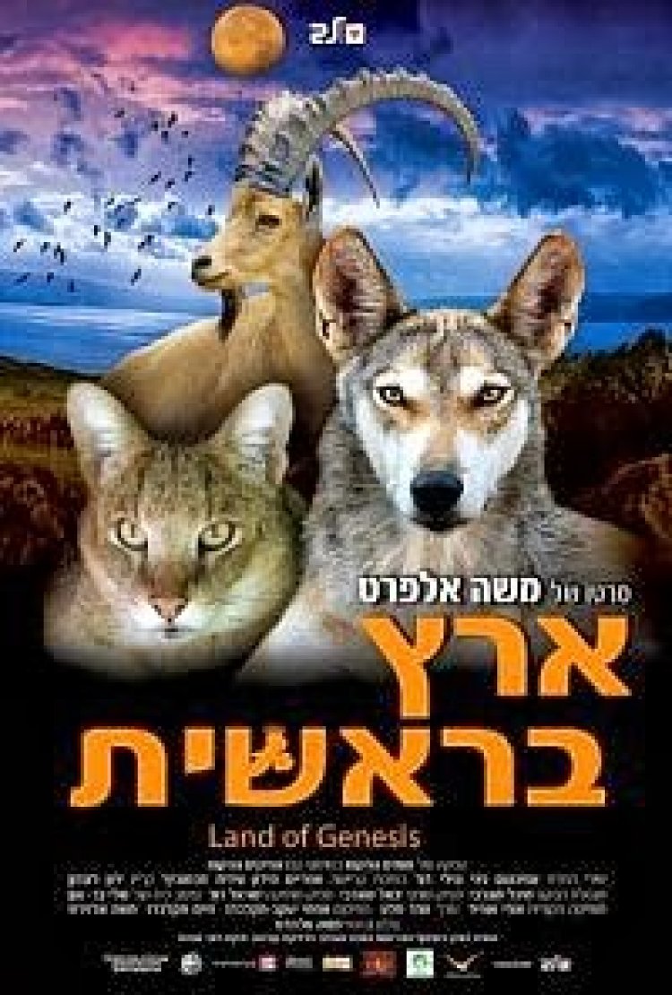 ארץ בראשית ישראלי *תרגום מובנה* להורדה ולצפייה ישירה / Eretz Bereishit 2010 – HDTV