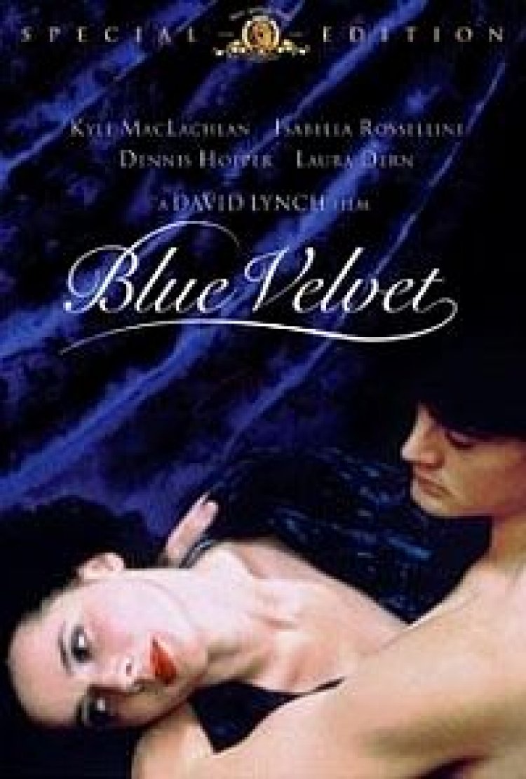 קטיפה כחולה תרגום מובנה – Blue Velvet