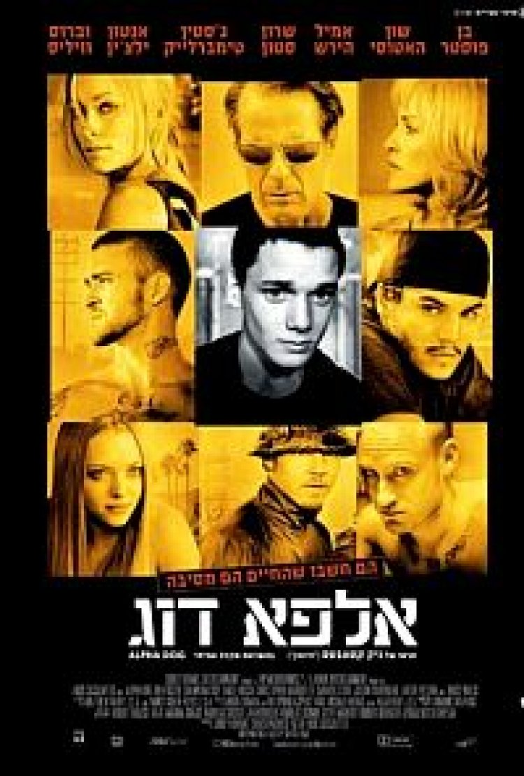 אלפא דוג תרגום מובנה לצפייה ישירה | Alpha Dog