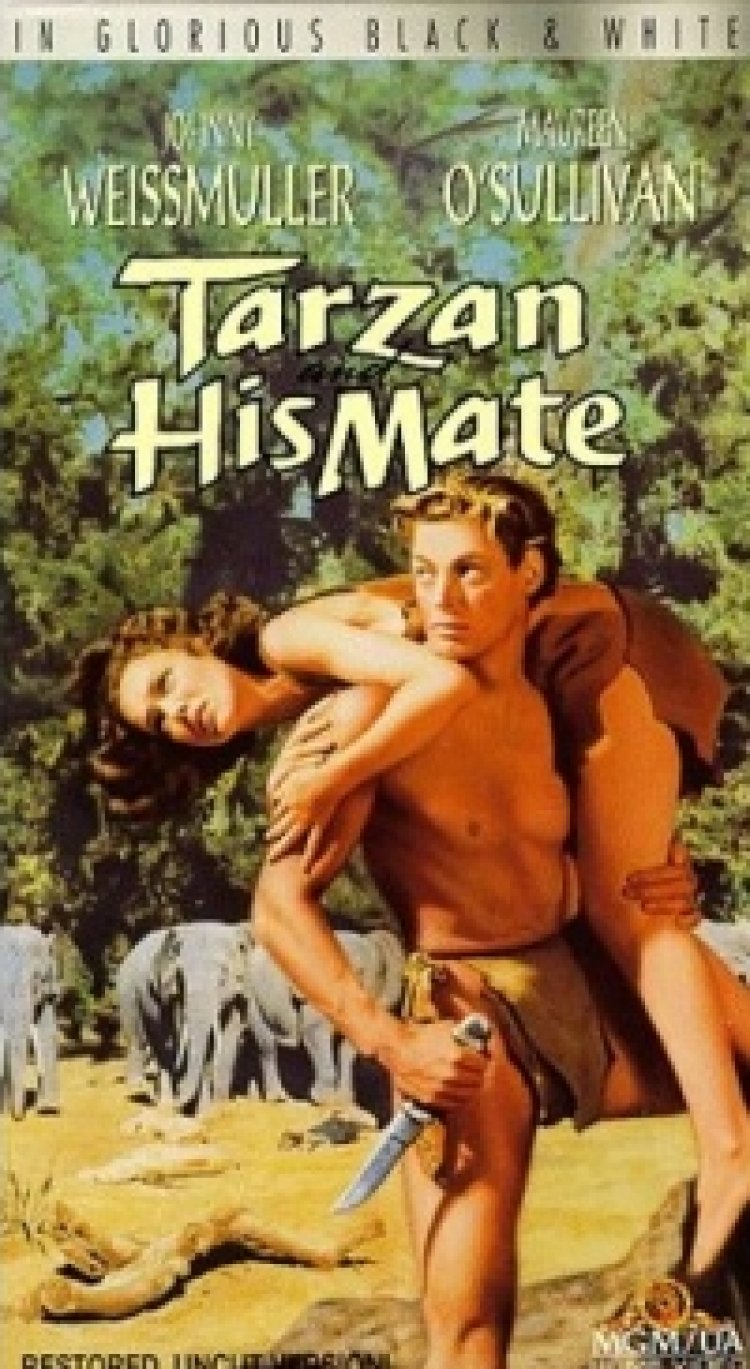 טרזן ובת זוגו תרגום מובנה Tarzan And His Mate לצפייה ישירה