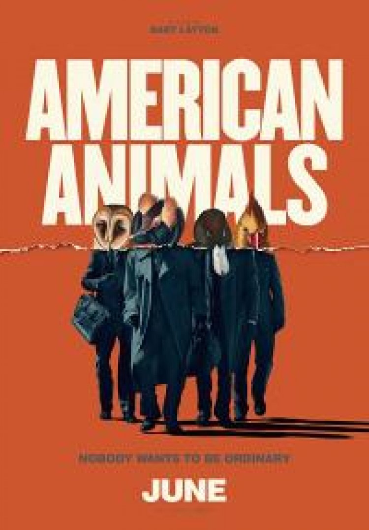 חיות אמריקאיות לצפייה ישירה עם תרגום מובנה | American Animals