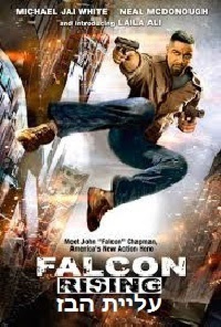 עליית הבז תרגום מובנה / Falcon Rising 2014