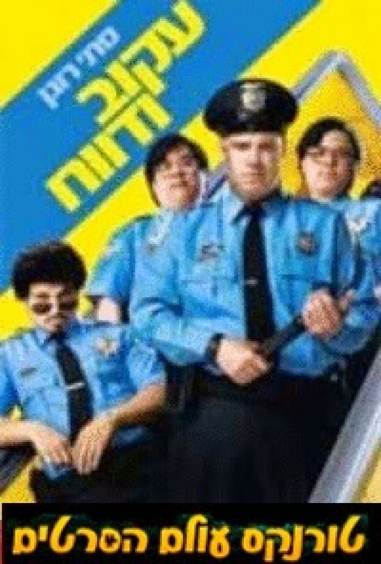 עקוב ודווח תרגום מובנה לצפייה ישירה | Observe And Report