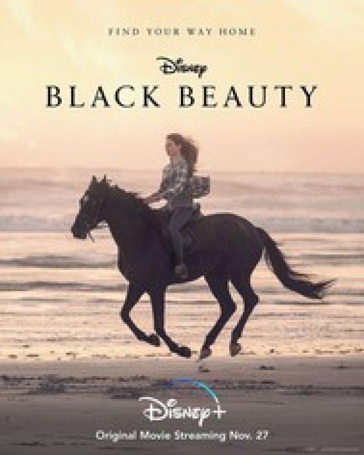 בלאק ביוטי לצפייה ישירה עם תרגום מובנה | Black Beauty