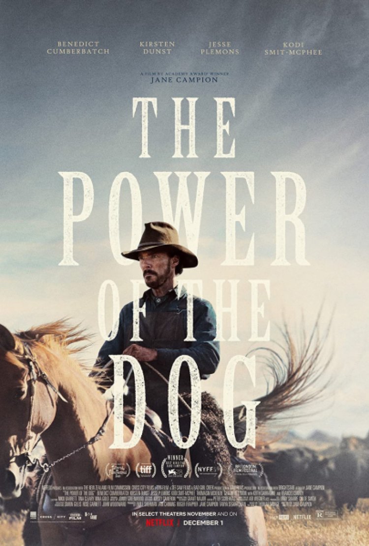 כוחו של הכלב לצפייה ישירה עם תרגום מובנה | The Power of the Dog