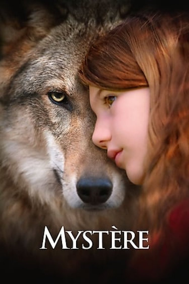 ויקי ומיסטר לצפייה ישירה עם תרגום מובנה | Vicky and Her Mystery