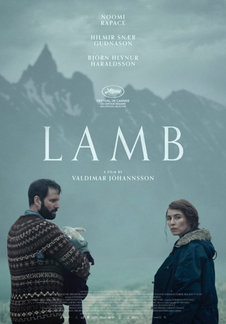הטלה לצפייה ישירה עם תרגום מובנה | Lamb