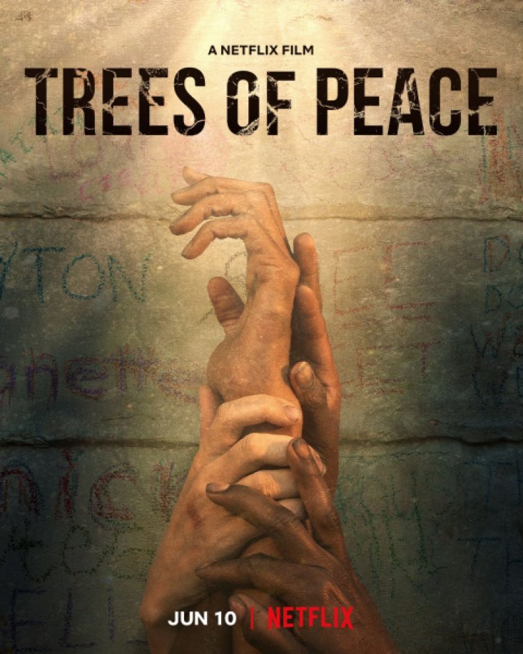 עצים של שלום לצפייה ישירה עם תרגום מובנה | Trees of Peace