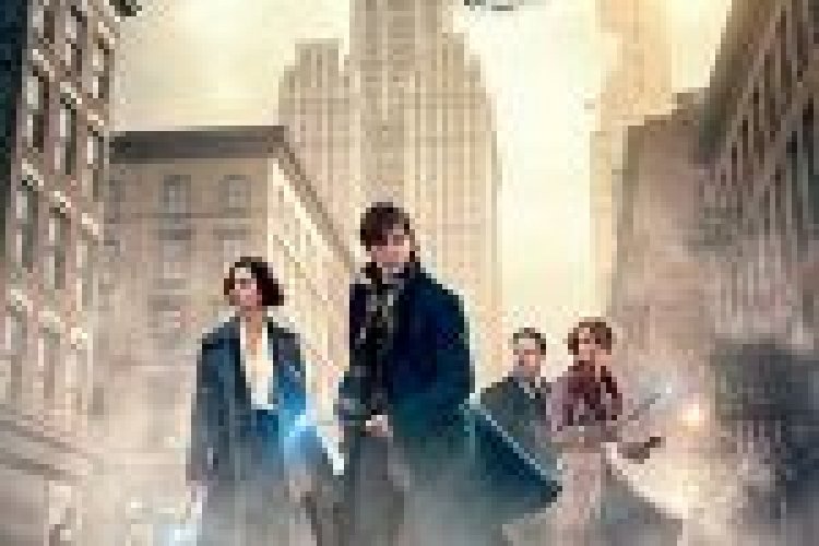 חיות הפלא והיכן למצוא אותן תרגום מובנה Fantastic Beasts and Where to Find Them לצפייה ישירה