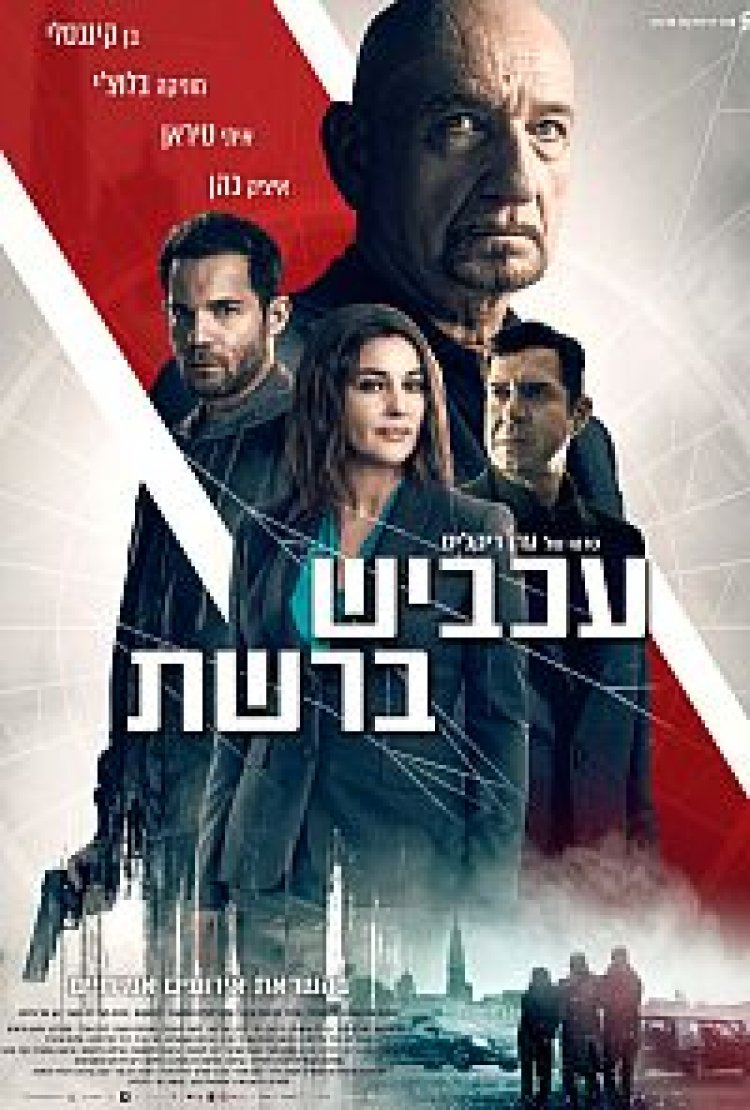 עכביש ברשת לצפייה ישירה עם תרגום מובנה | Spider In The Web