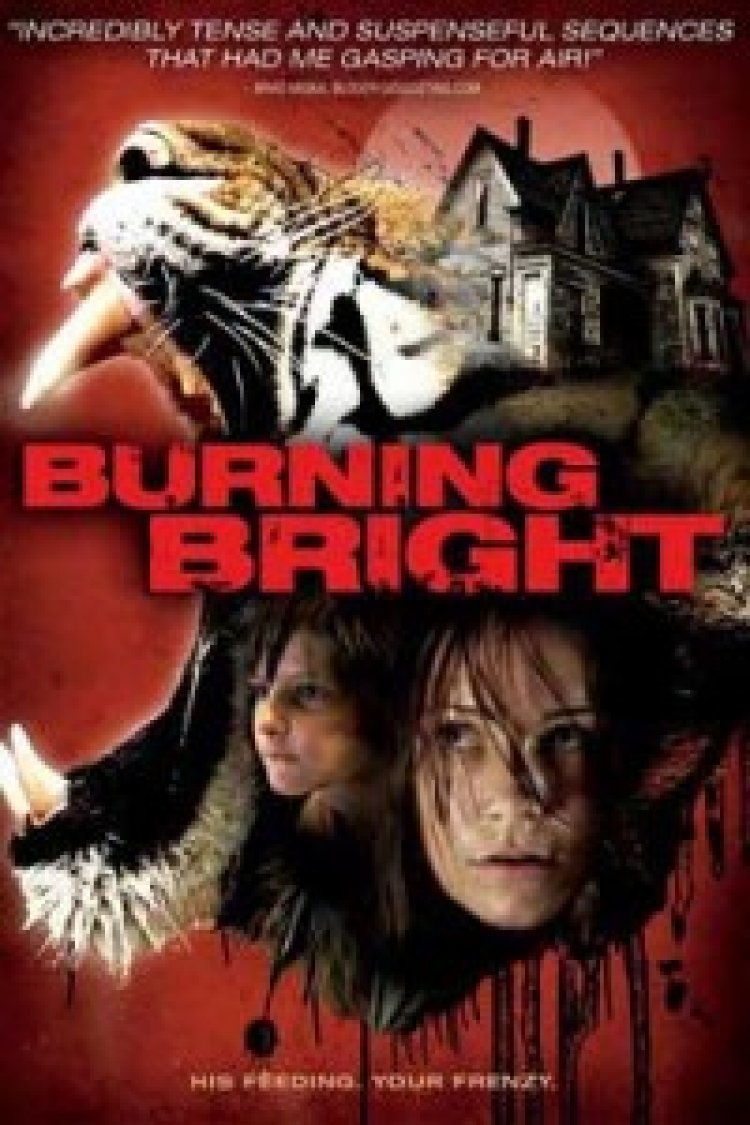 כשתראי נמר בבית תרגום מובנה לצפייה ישירה | Burning Bright