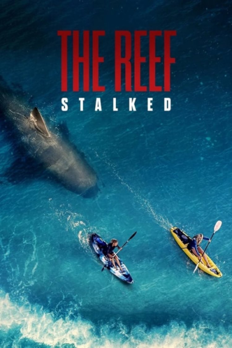 השונית נעקבות לצפייה ישירה עם תרגום מובנה | The Reef Stalked