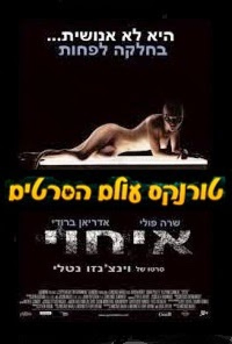 איחוי תרגום מובנה לצפייה ישירה | Splice