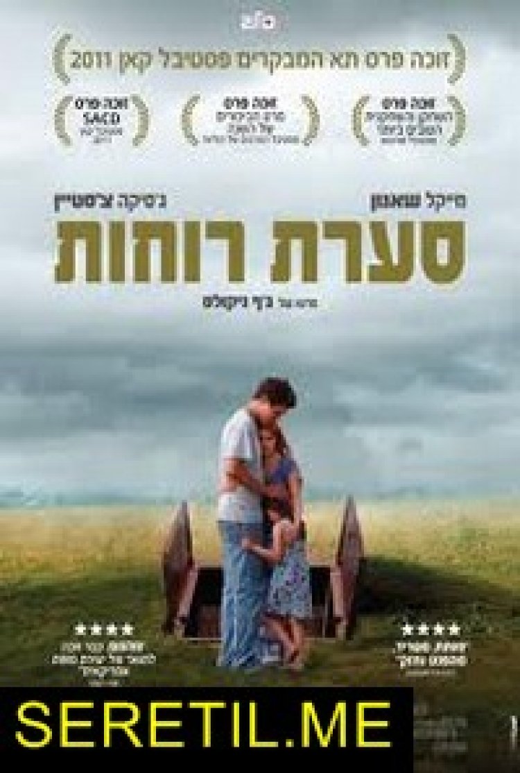 סערת רוחות תרגום מובנה | תפוס מחסה לצפייה ישירה
