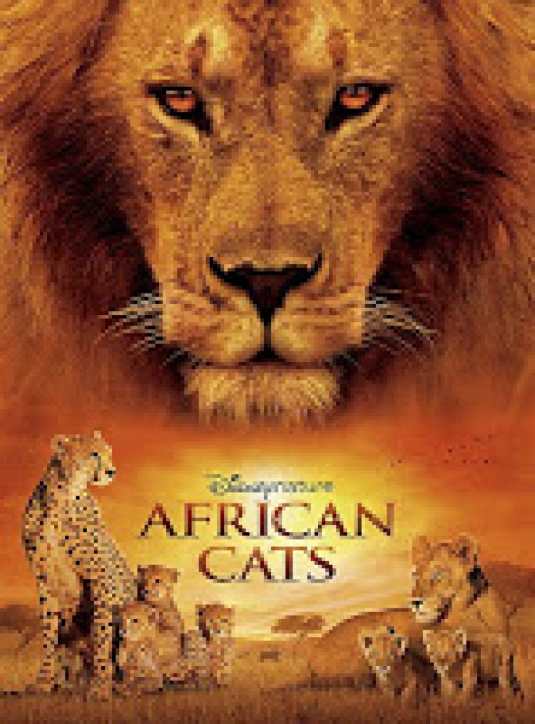 חתולים אפריקאים * תרגום מובנה */African Cats לצפייה ישירה