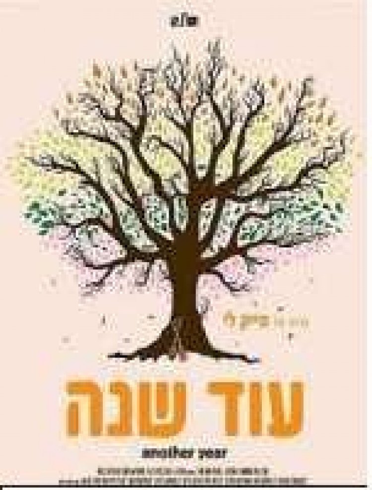 עוד שנה תרגום מובנה