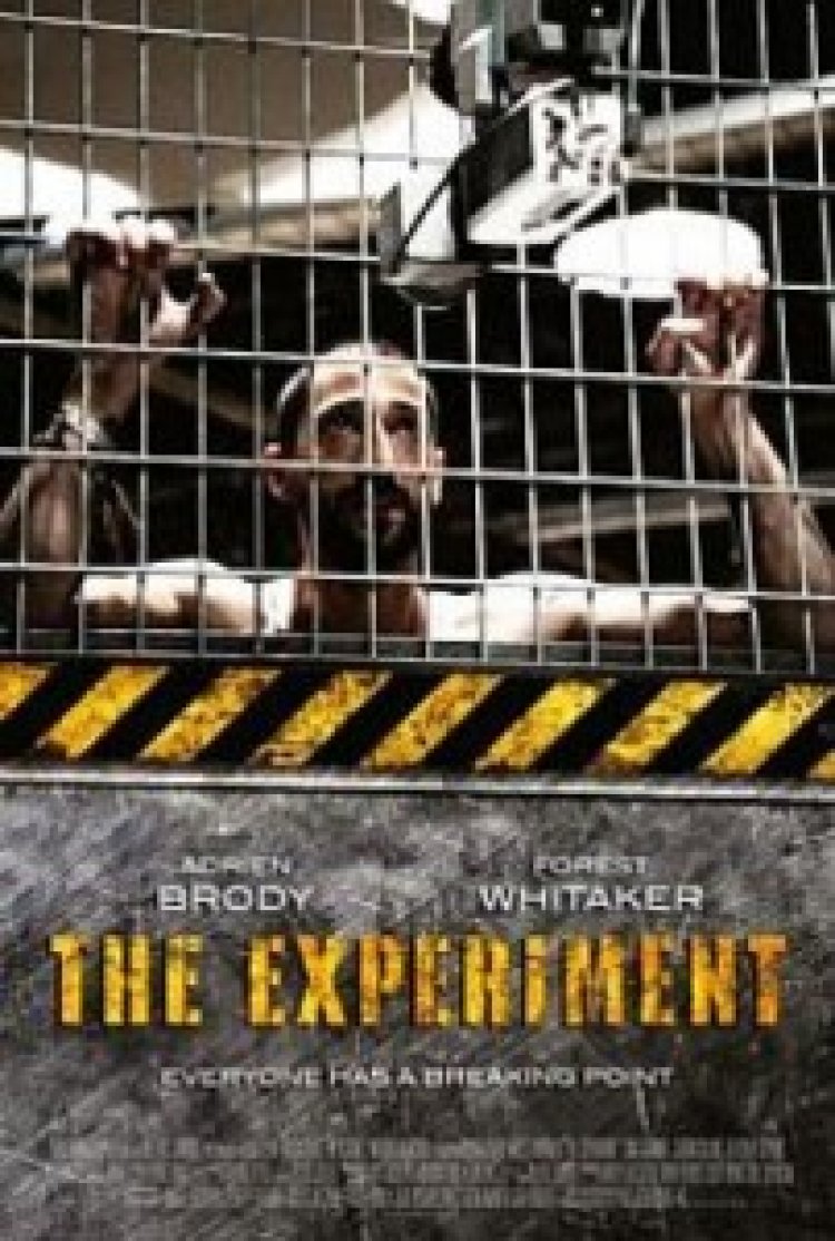 הניסוי תרגום מובנה – The Experiment