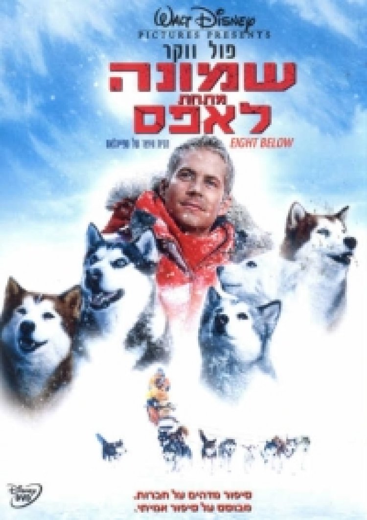 8 מתחת לאפס תרגום מובנה לצפייה ישירה