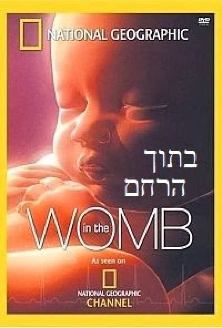 בתוך הרחם *תרגום מובנה* להורדה ולצפייה ישירה / Life Before Birth 2005 – DVDRip