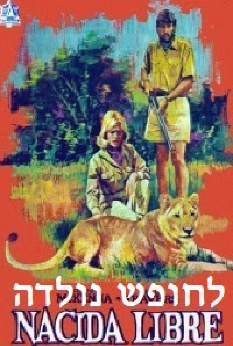 לחופש נולדה תרגום מובנה לצפייה ישירה