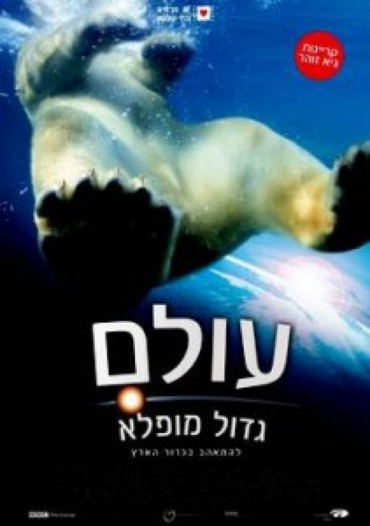 עולם גדול מופלא תרגום מובנה לצפייה ישירה