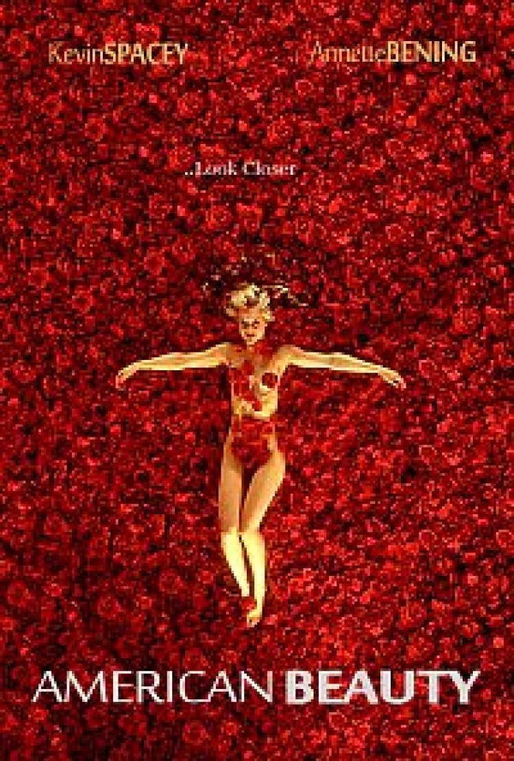 אמריקן ביוטי תרגום מובנה לצפייה ישירה | American Beauty