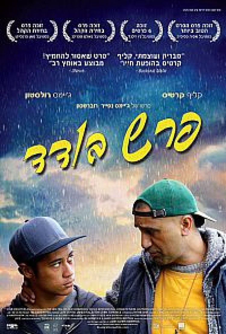 פרש בודד תרגום מובנה The Dark Horse לצפייה ישירה
