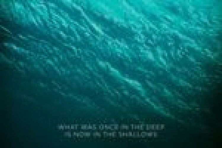 מים לא שקטים תרגום מובנה / The Shallows לצפייה ישירה