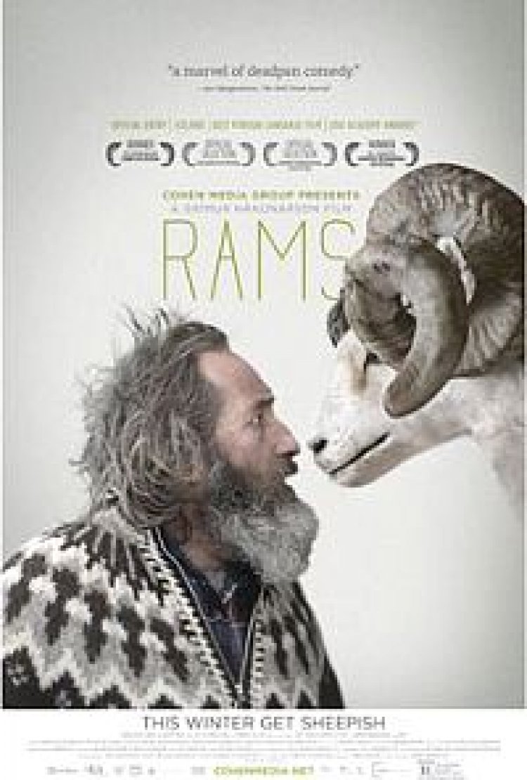 איילים תרגום מובנה *תוקן* Rams לצפייה ישירה