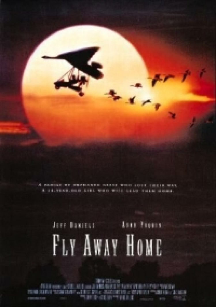 לעוף כל הדרך הביתה תרגום מובנה Fly Away Home לצפייה ישירה