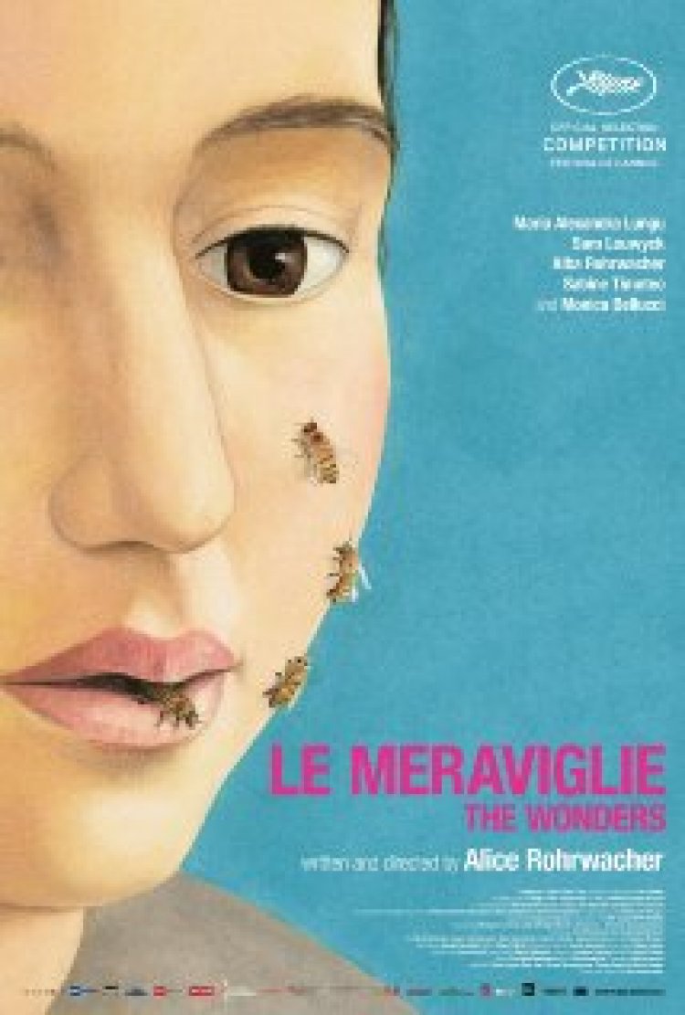 המופלאים תרגום מובנה – The Wonders Le meraviglie