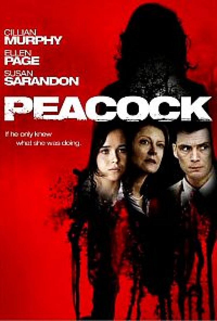 פיקוק תרגום מובנה Peacock לצפייה ישירה