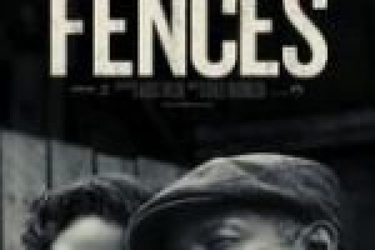 גדרות תרגום מובנה לצפייה ישירה / Fences לצפייה ישירה