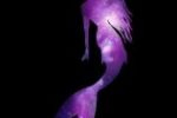 בת הים הקטנה מתורגם לצפייה ישירה / Little Mermaid לצפייה ישירה