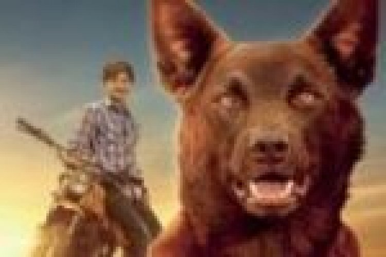כלב אדום: כחול אמיתי מתורגם לצפייה ישירה / Red Dog: True Blue לצפייה ישירה