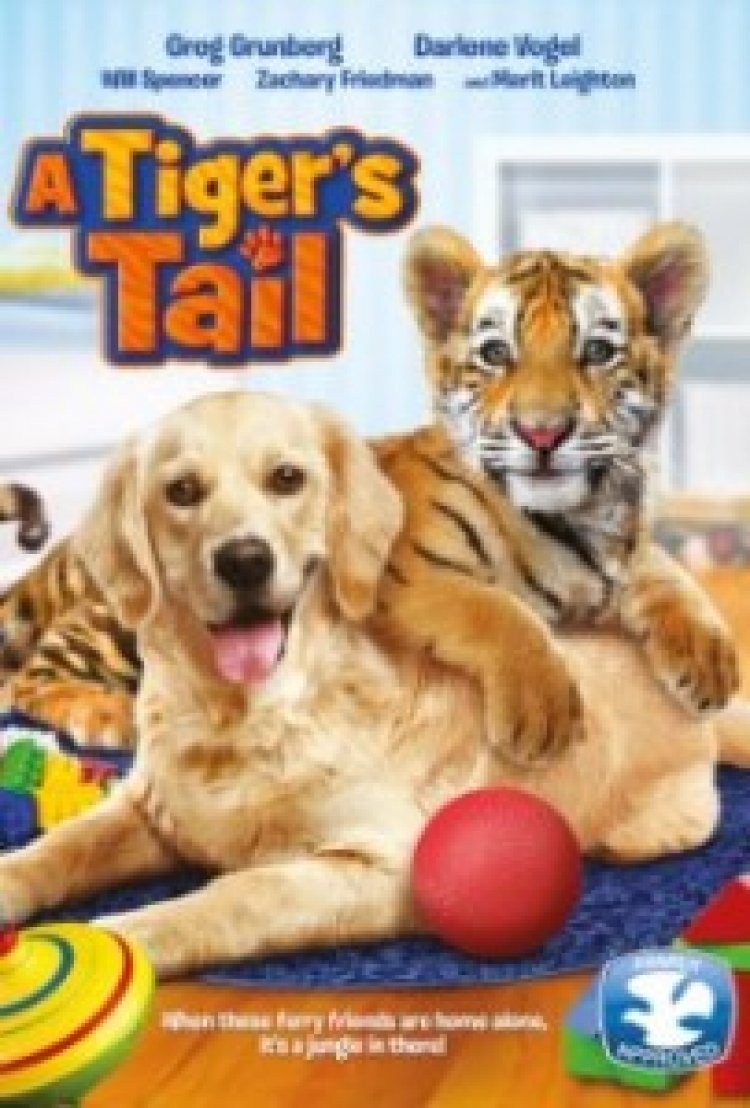 טיגריס משפחתי תרגום מובנה / A Tiger's Tail 2014 לצפייה ישירה