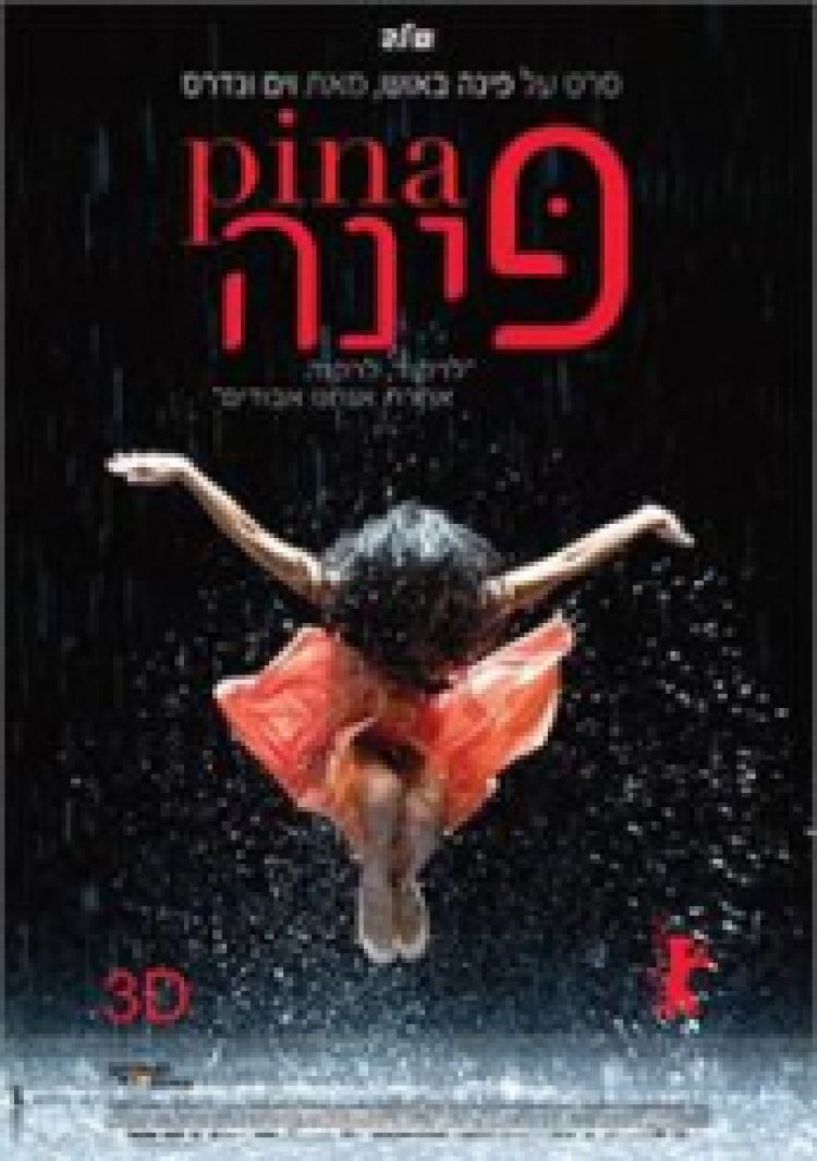פינה תרגום מובנה לצפייה ישירה