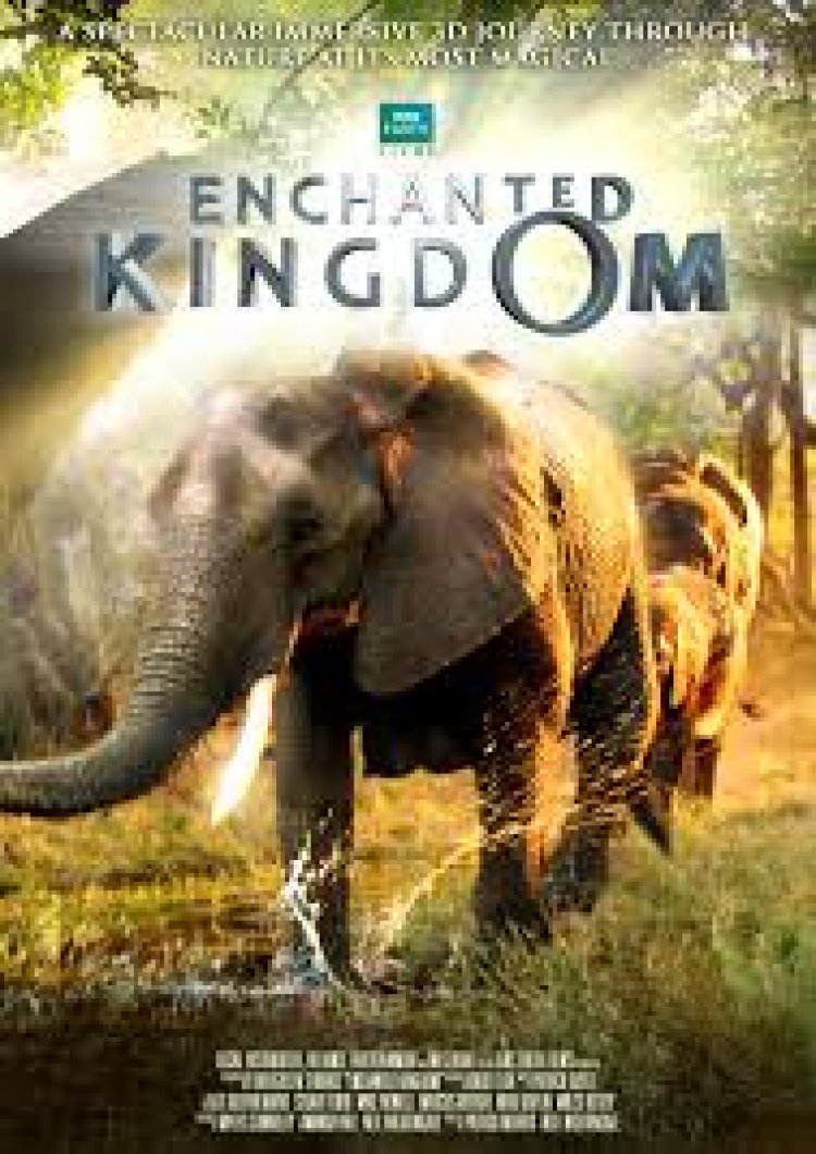 ממלכה קסומה תרגום מובנה / Enchanted Kingdom 3D 2015 לצפייה ישירה
