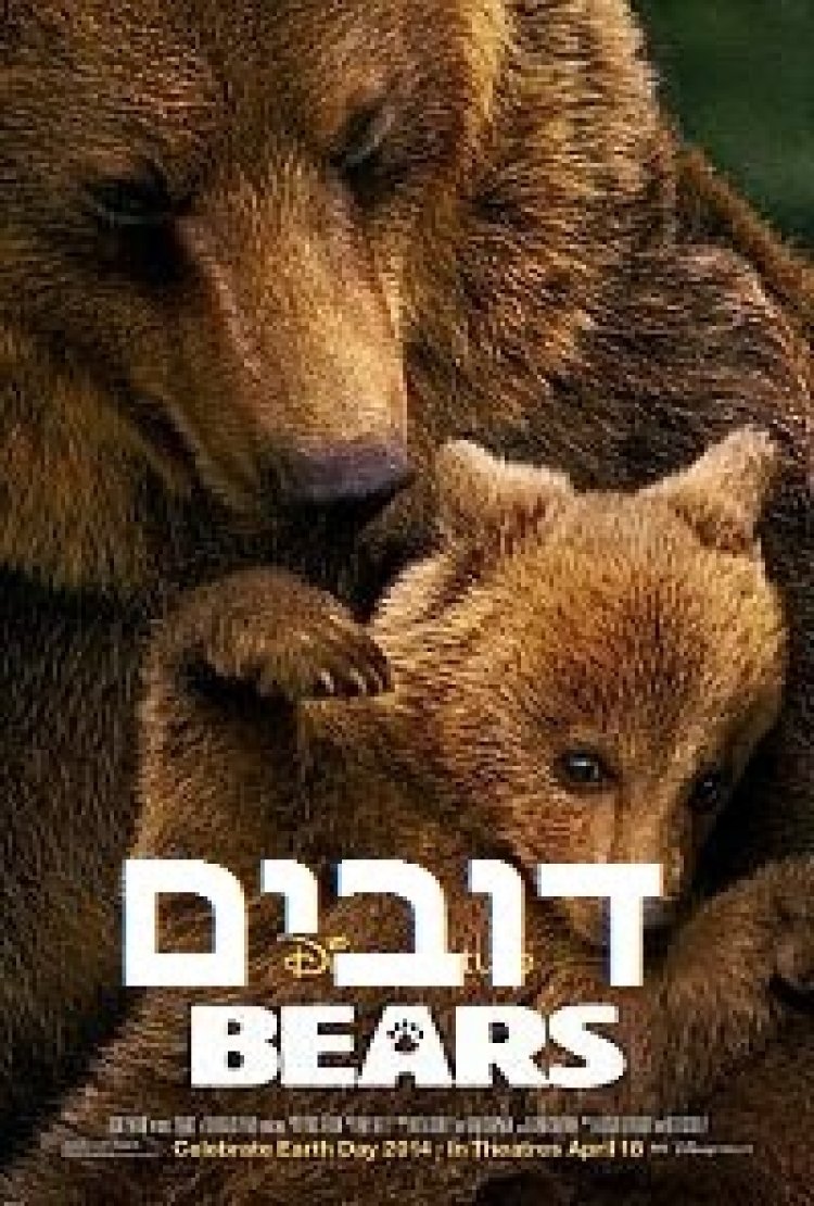 דובים תרגום מובנה לצפייה ישירה
