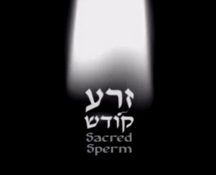 זרע קודש מסע אישי של הבמאי החרדי אור ישר הסרט
