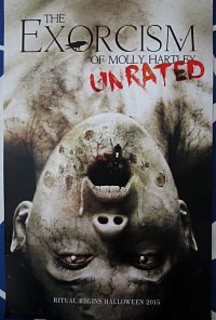 השדים של מולי הארטלי תרגום מובנה The Exorcism Of Molly Hartley לצפייה ישירה