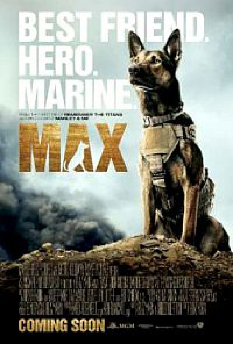מקס תרגום מובנה – Max