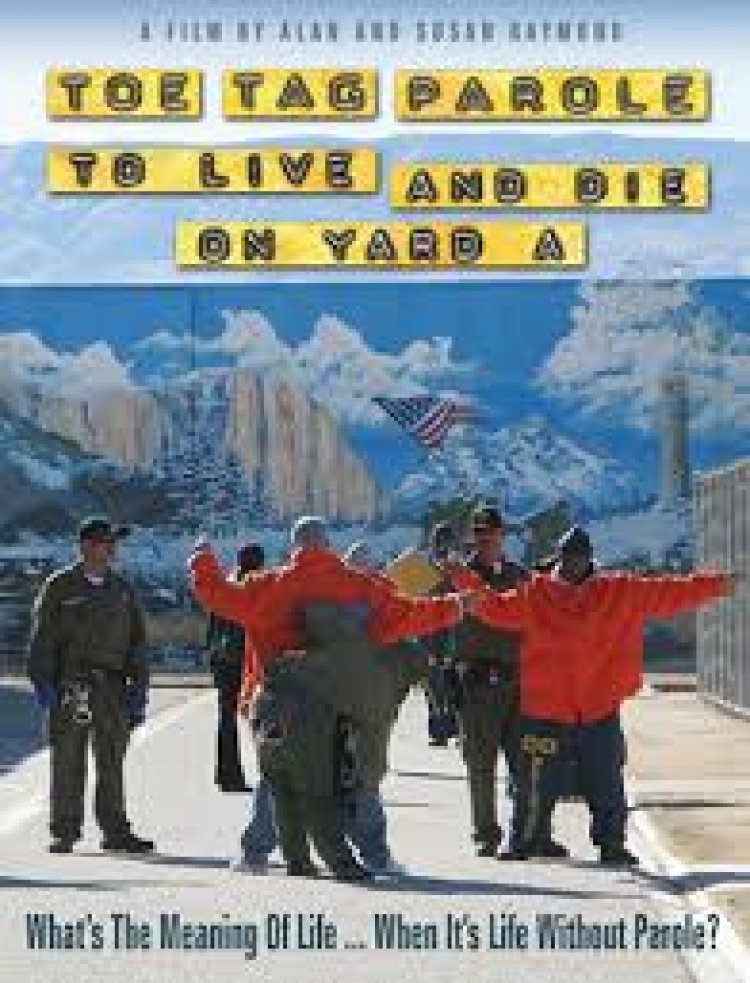 20 צעדים מהתהילה תרגום מובנה Twenty Feet from Stardom לצפייה ישירה