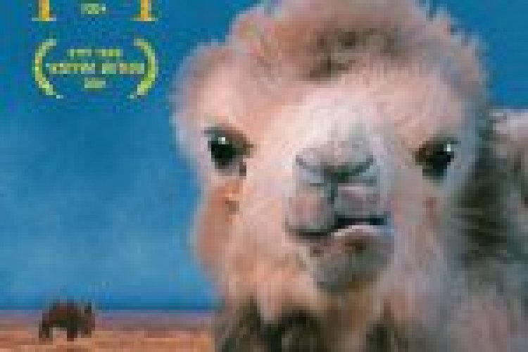 דמעות של גמל תרגום מובנה The Story of the Weeping Camel לצפייה ישירה