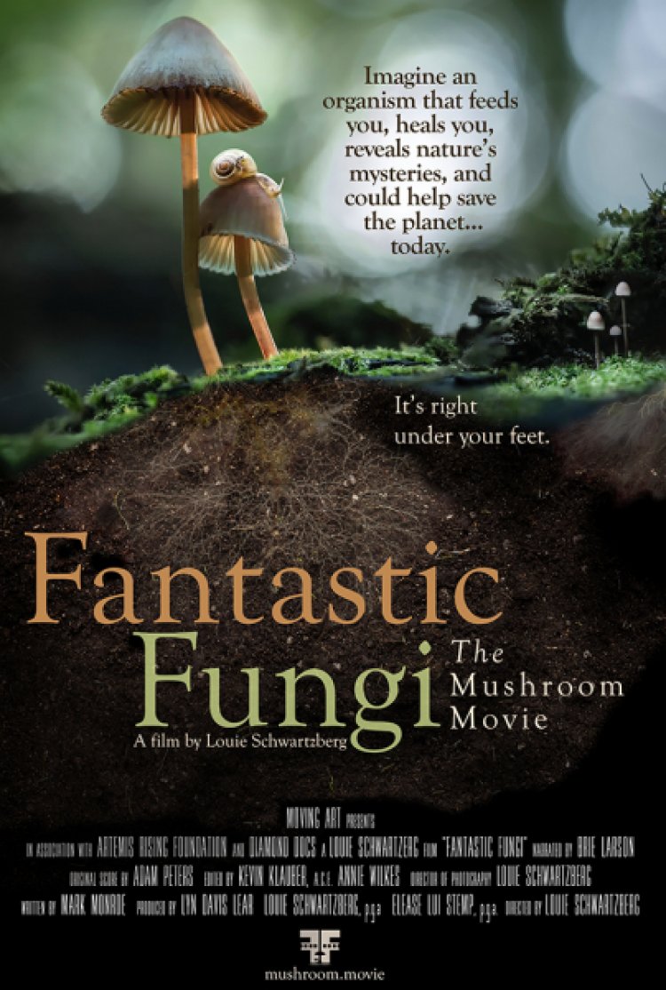 פטריה פנטסטית לצפייה ישירה עם תרגום מובנה | Fantastic Fungi