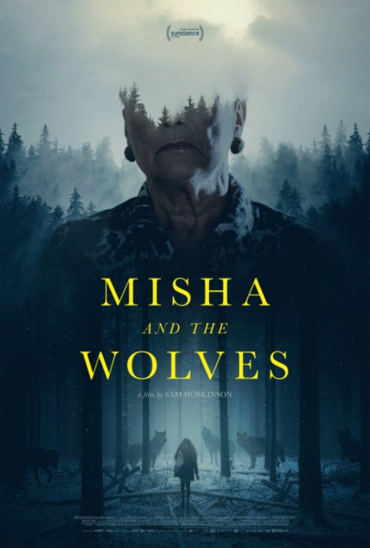 מישה והזאבים לצפייה ישירה עם תרגום מובנה | Misha and the Wolves