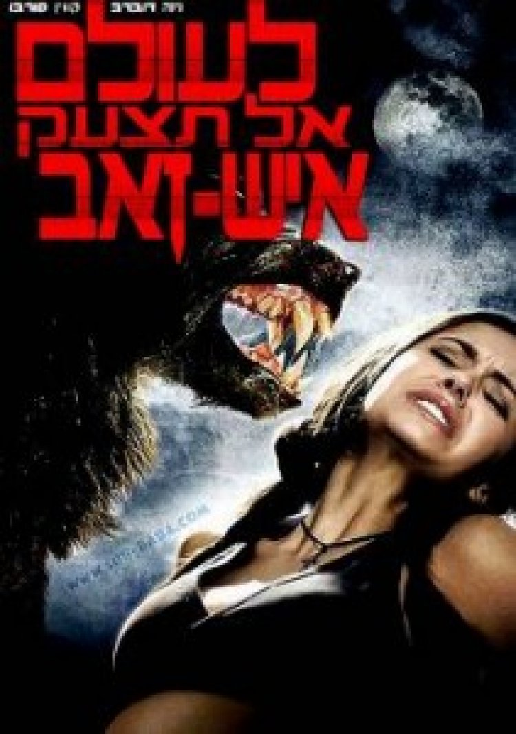 לעולם אל תצעק זאב תרגום מובנה לצפייה ישירה