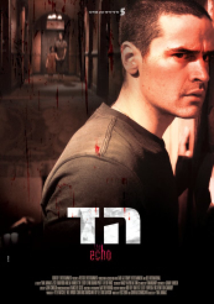 הד תרגום מובנה לצפייה ישירה